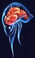 Metroid Prime